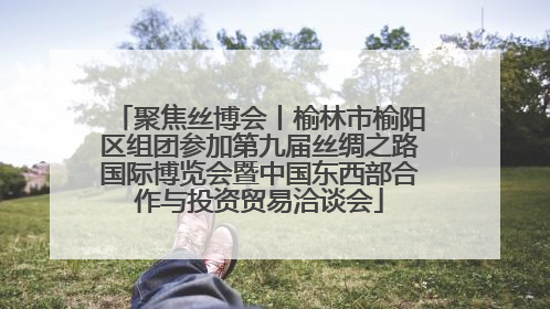 聚焦丝博会丨榆林市榆阳区组团参加第九届丝绸之路国际博览会暨中国东西部合作与投资贸易洽谈会