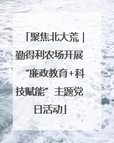 聚焦北大荒｜勤得利农场开展“廉政教育+科技赋能”主题党日活动