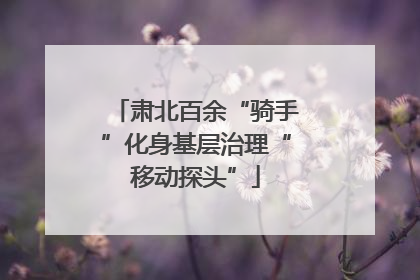 肃北百余“骑手”化身基层治理“移动探头”