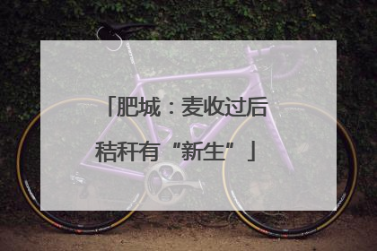 肥城：麦收过后秸秆有“新生”