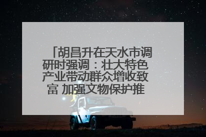 胡昌升在天水市调研时强调：壮大特色产业带动群众增收致富 加强文物保护推动文化创新发展
