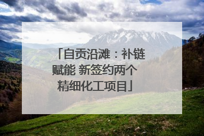 自贡沿滩：补链赋能 新签约两个精细化工项目
