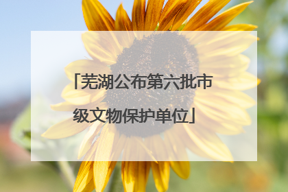 芜湖公布第六批市级文物保护单位
