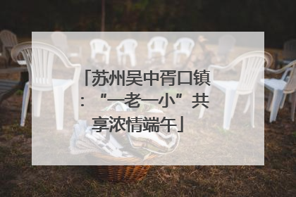 苏州吴中胥口镇：“一老一小”共享浓情端午
