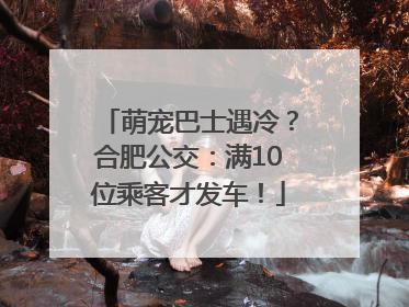 萌宠巴士遇冷？合肥公交：满10位乘客才发车！