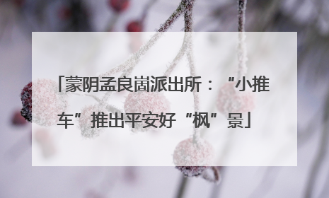 蒙阴孟良崮派出所：“小推车”推出平安好“枫”景
