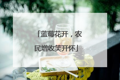 蓝莓花开，农民增收笑开怀