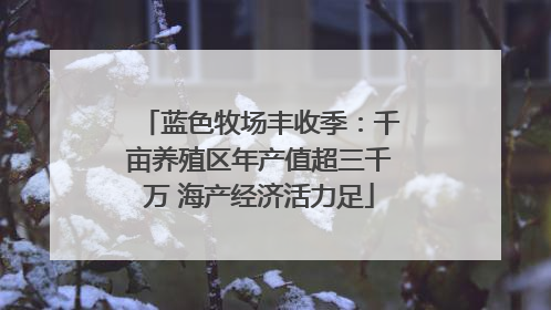 蓝色牧场丰收季：千亩养殖区年产值超三千万 海产经济活力足