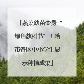 蔬菜幼苗变身“绿色教科书”!哈市各区中小学生展示种植成果