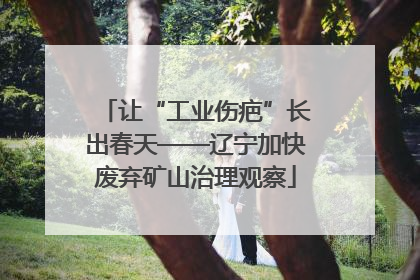 让“工业伤疤”长出春天——辽宁加快废弃矿山治理观察