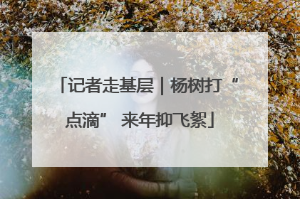 记者走基层｜杨树打“点滴” 来年抑飞絮