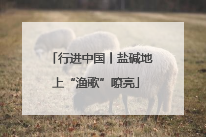 行进中国丨盐碱地上“渔歌”嘹亮