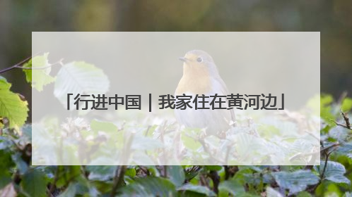 行进中国｜我家住在黄河边