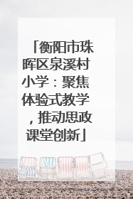 衡阳市珠晖区泉溪村小学：聚焦体验式教学，推动思政课堂创新