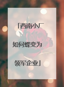 西南小厂如何蝶变为领军企业