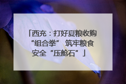 西充：打好夏粮收购“组合拳” 筑牢粮食安全“压舱石”