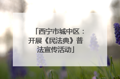 西宁市城中区：开展《民法典》普法宣传活动