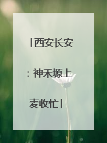 西安长安：神禾塬上麦收忙