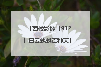 西楼影像「912」白云飘飘芒种天