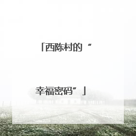 西陈村的“幸福密码”