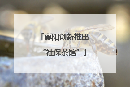 襄阳创新推出“社保茶馆”