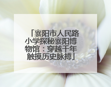 襄阳市人民路小学探秘襄阳博物馆：穿越千年触摸历史脉搏