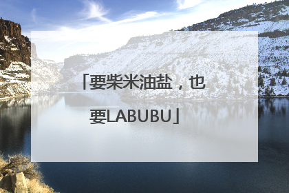 要柴米油盐，也要LABUBU