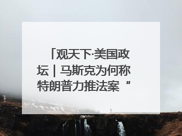 观天下·美国政坛｜马斯克为何称特朗普力推法案“令人作呕”
