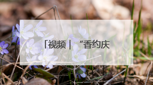 视频｜“香约庆阳·包容天下”：第二十届香包节盛大启幕 千年非遗香飘世界