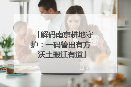 解码南京耕地守护：一码管田有方 沃土搬迁有道