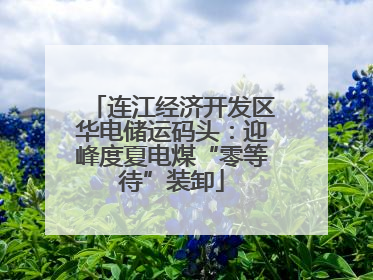 连江经济开发区华电储运码头：迎峰度夏电煤“零等待”装卸