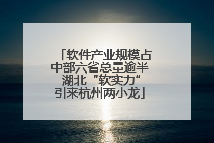 软件产业规模占中部六省总量逾半 湖北“软实力”引来杭州两小龙