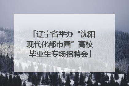 辽宁省举办“沈阳现代化都市圈”高校毕业生专场招聘会