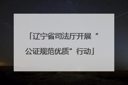 辽宁省司法厅开展“公证规范优质”行动