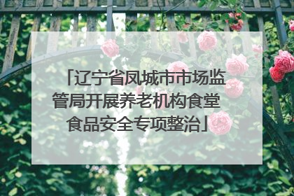 辽宁省凤城市市场监管局开展养老机构食堂食品安全专项整治