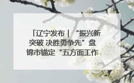辽宁发布｜“振兴新突破 决胜勇争先”盘锦市锚定“五方面工作”力争全年地区生产总值增长5.5%左右