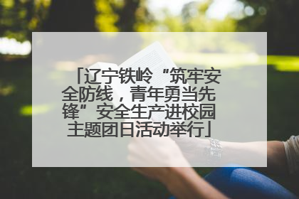 辽宁铁岭“筑牢安全防线，青年勇当先锋”安全生产进校园主题团日活动举行