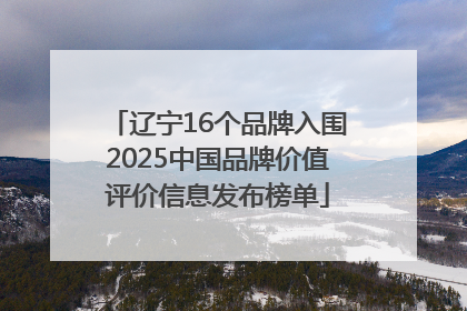 辽宁16个品牌入围2025中国品牌价值评价信息发布榜单