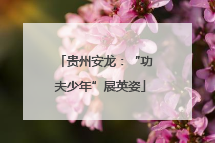 贵州安龙：“功夫少年”展英姿