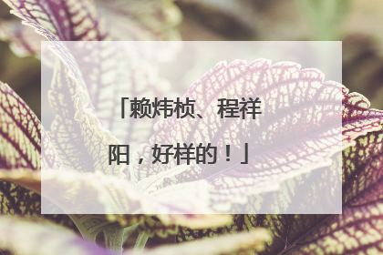 赖炜桢、程祥阳，好样的！