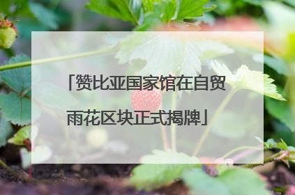 赞比亚国家馆在自贸雨花区块正式揭牌