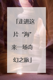 走进这片“海”来一场奇幻之旅
