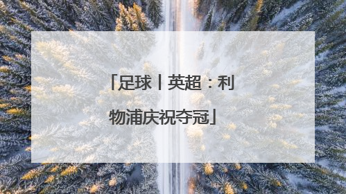 足球丨英超：利物浦庆祝夺冠