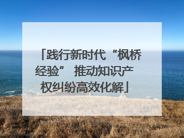 践行新时代“枫桥经验” 推动知识产权纠纷高效化解