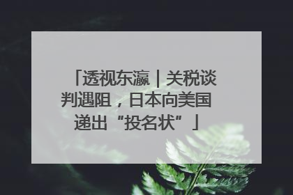 透视东瀛｜关税谈判遇阻，日本向美国递出“投名状”