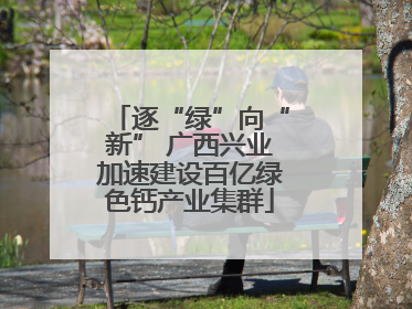 逐“绿”向“新” 广西兴业加速建设百亿绿色钙产业集群