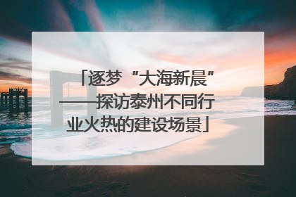 逐梦“大海新晨”——探访泰州不同行业火热的建设场景