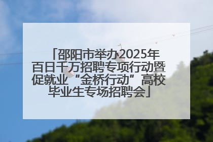 邵阳市举办2025年百日千万招聘专项行动暨促就业“金桥行动”高校毕业生专场招聘会