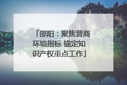邵阳：聚焦营商环境指标 锚定知识产权重点工作