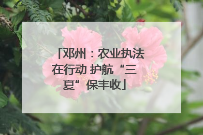邓州：农业执法在行动 护航“三夏”保丰收